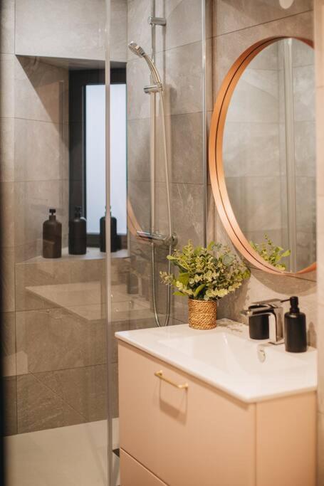 Апартаменти La Vie En Rose - Luxe, Calme & Hypercentre - 3* Аннесі Екстер'єр фото
