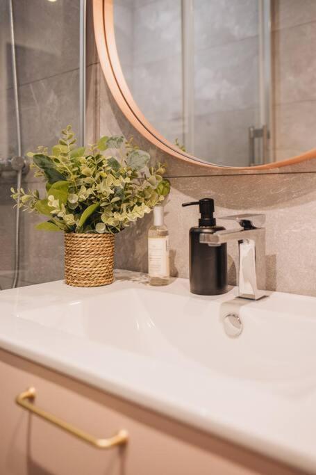 Апартаменти La Vie En Rose - Luxe, Calme & Hypercentre - 3* Аннесі Екстер'єр фото