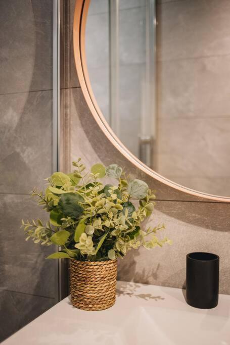 Апартаменти La Vie En Rose - Luxe, Calme & Hypercentre - 3* Аннесі Екстер'єр фото